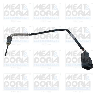 Sensor, exhaust gas temperature